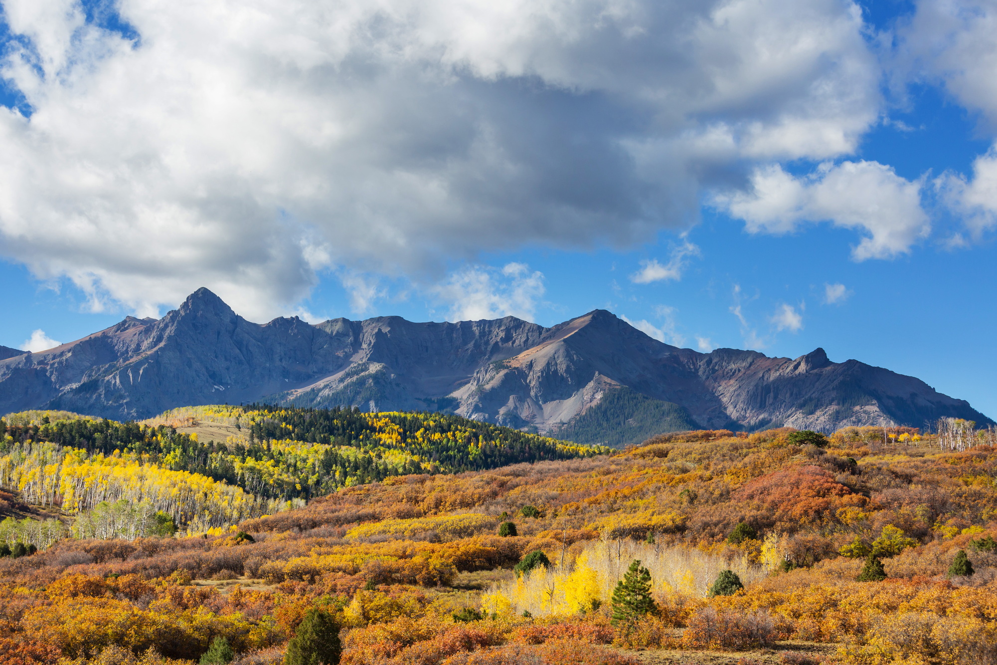 Autumn in Colorado